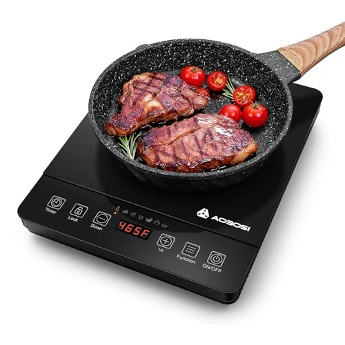 best invisible induction cooktop