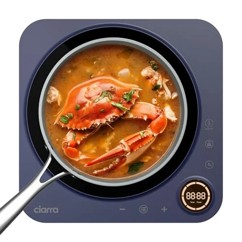blue star induction cooktop