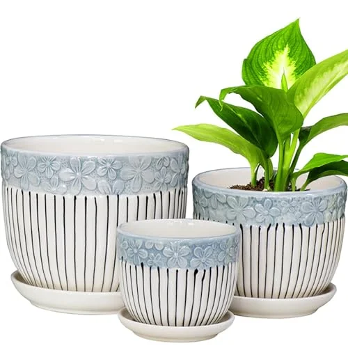ceramic flower pots and planters
