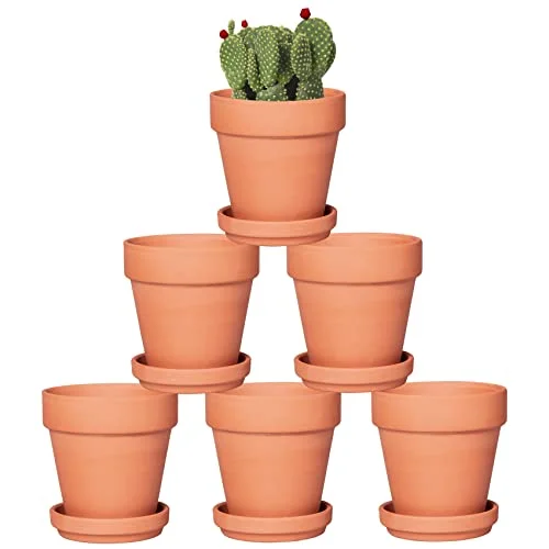 clay flower pots and saucers