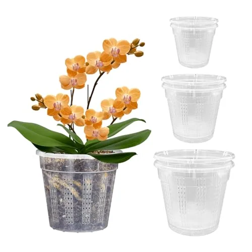 clear plastic pots for orchids
