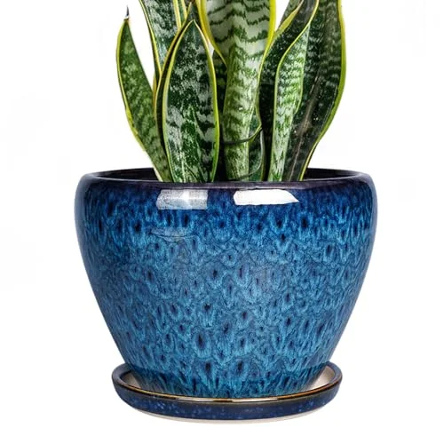 cobalt blue ceramic flower pots