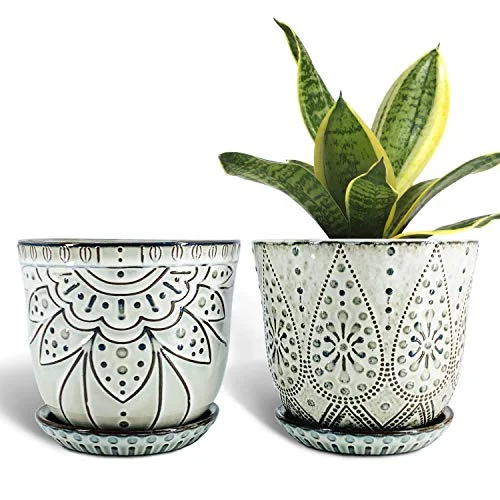 decorative ceramic pots for plants