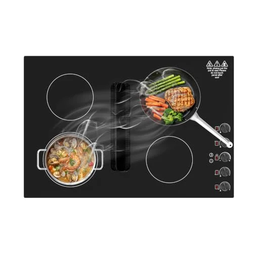 downdraft induction cooktop