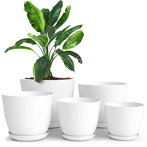 drainage pots for indoor plants
