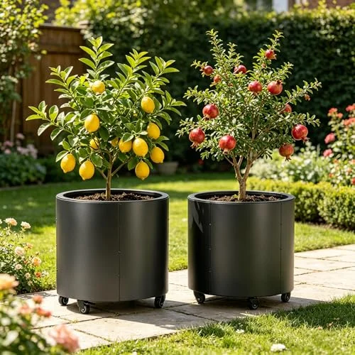 extra large planter pots for trees