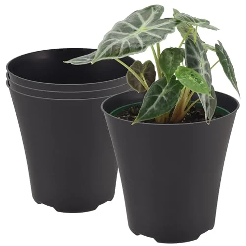 flower pots without drainage holes