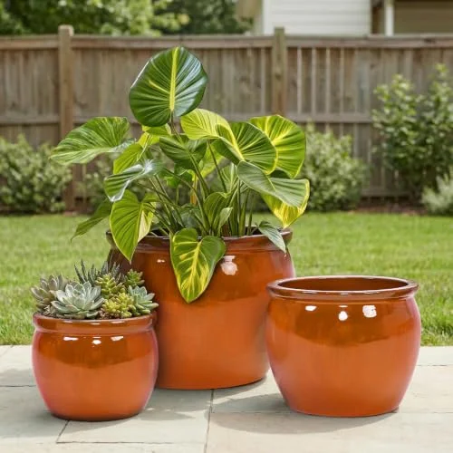 handmade ceramic pots for plants