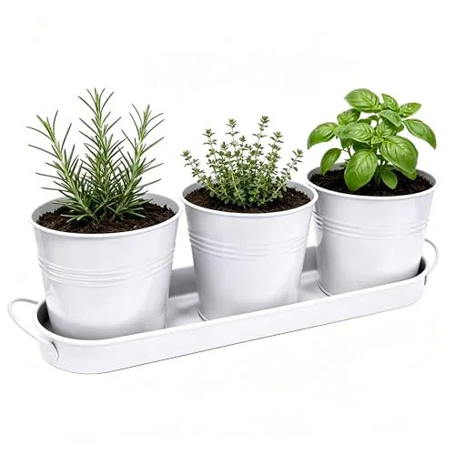 herb pots for the kitchen