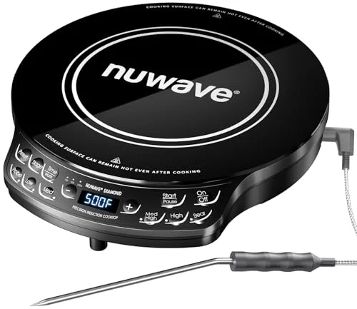 induction cooktop for camping