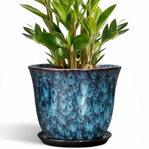 large ceramic glazed plant pots
