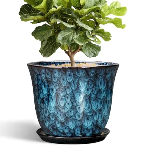 large ceramic plant pots outdoor