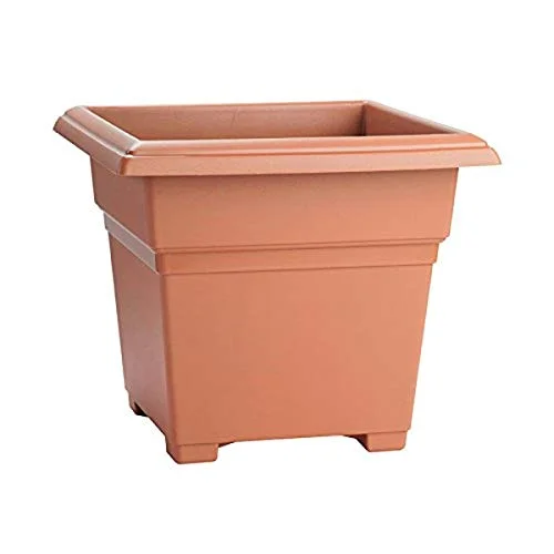 large square terracotta plant pots