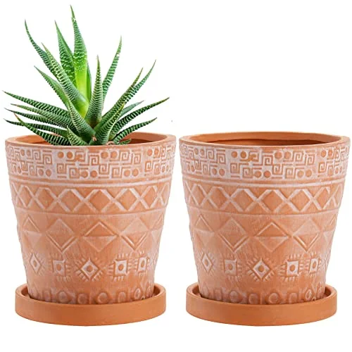 mexican clay pots for plants