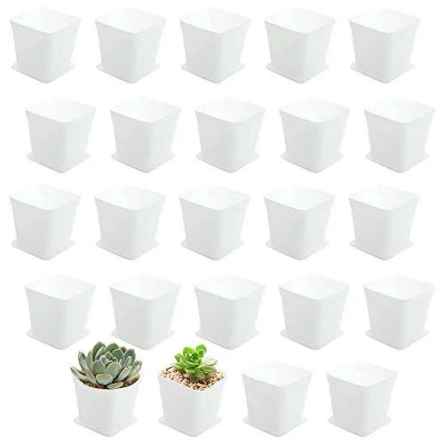 mini plant pots for succulents