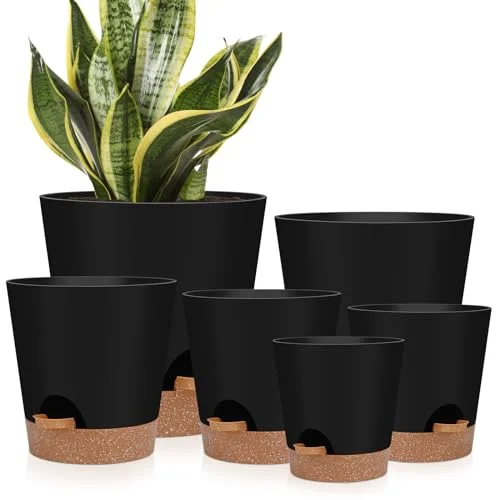 modern pots for indoor plants