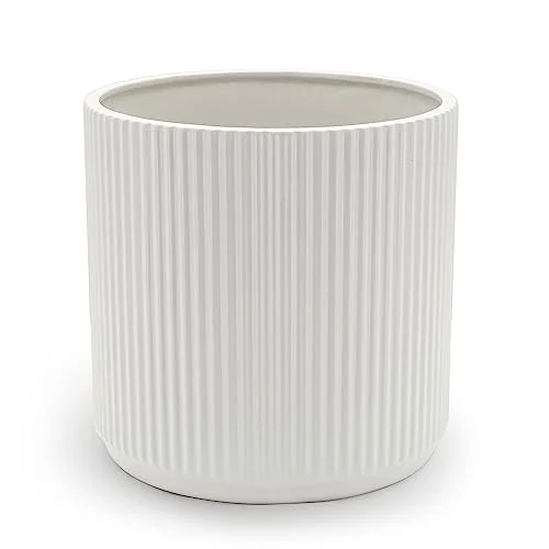 modern white pots for plants