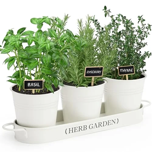 pots for herbs in kitchen