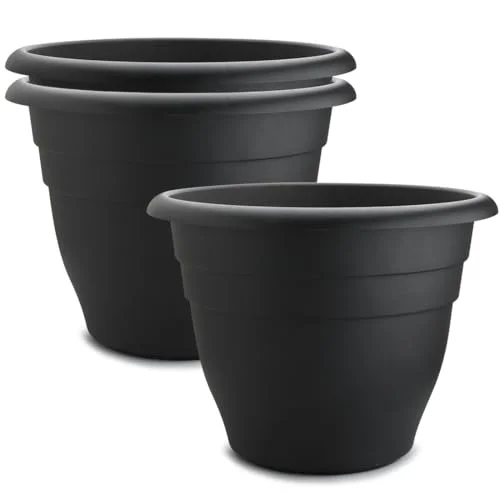 pots for trees extra large