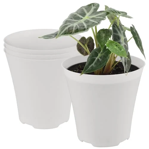 pots with no drainage holes