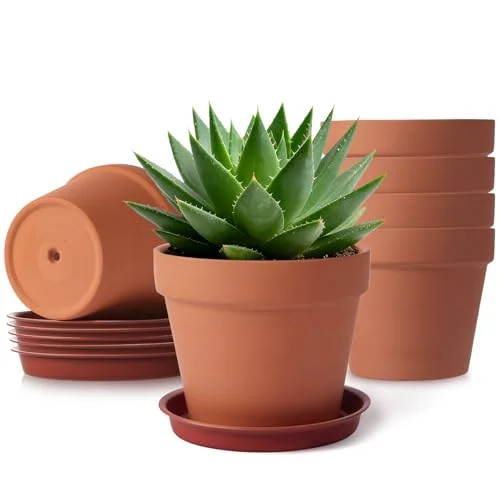 red clay pots for plants