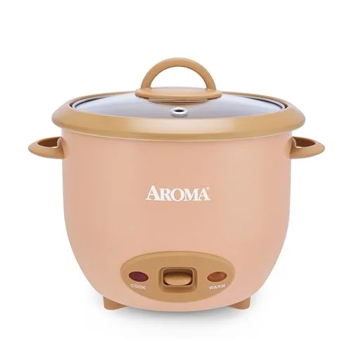 rice cooker ceramic in pot