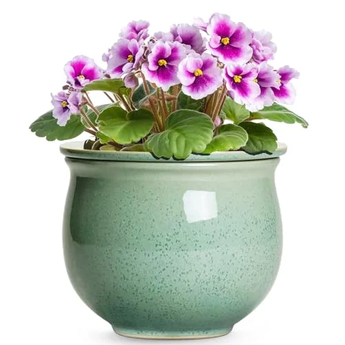 self watering pots for african violets
