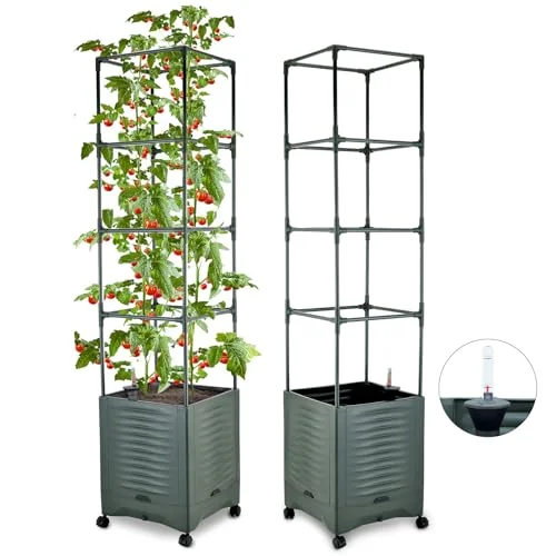self watering pots for tomatoes