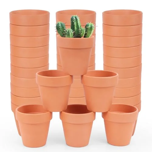 small terracotta flower pots bulk