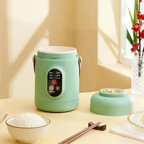 mini rice cooker 110v