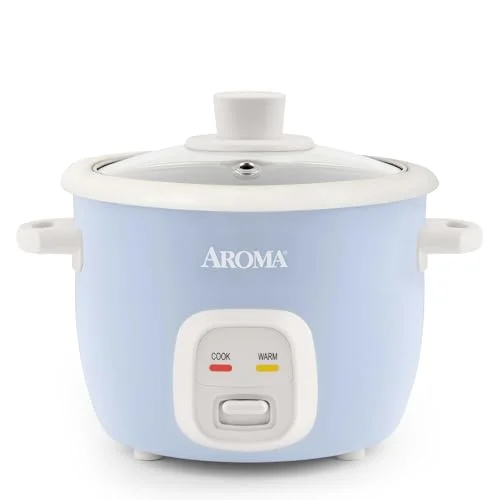 best rice cooker for a college student