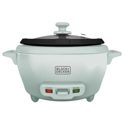 best 6 cup ceramic rice cooker