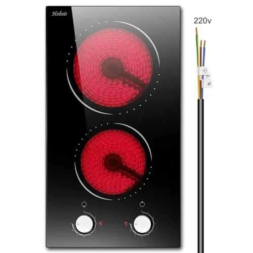 best ceramic hob cooker with two burners